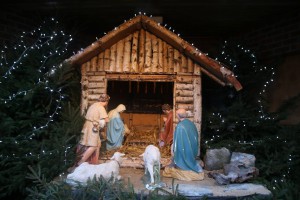 25074742 1961683757414688 6289172755949653316 o